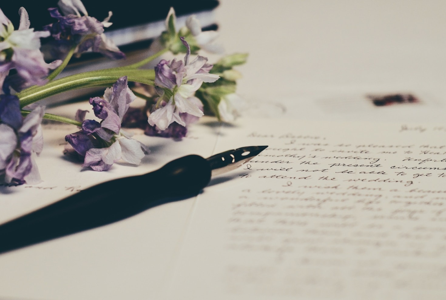 Reflections on a Year of Personal Growth